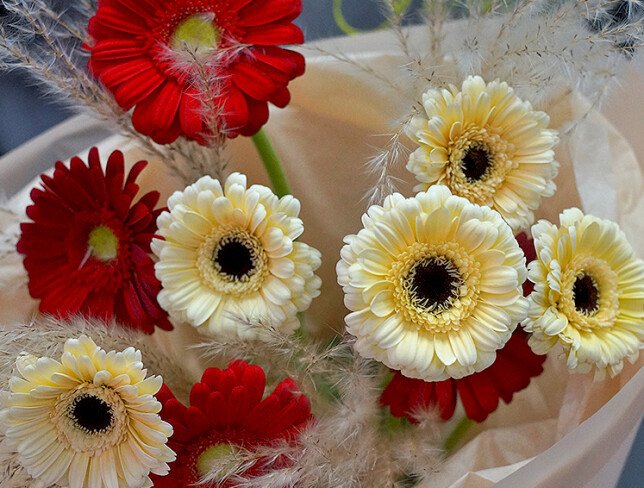 Bouquet with gerberas “Magic of Feelings” photo