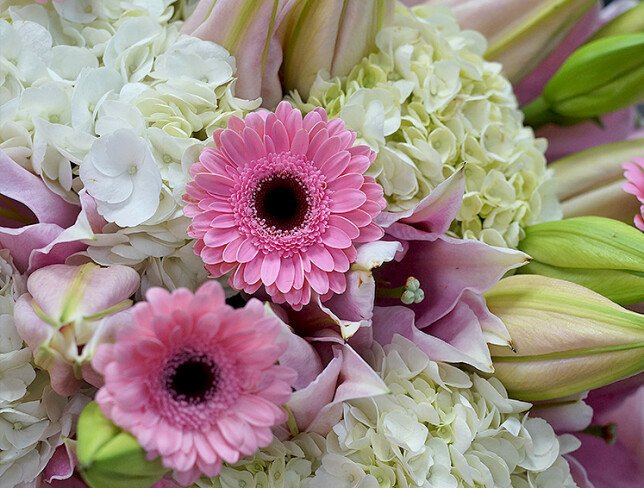 Bouquet of white hydrangeas, pink lilies and gerberas photo