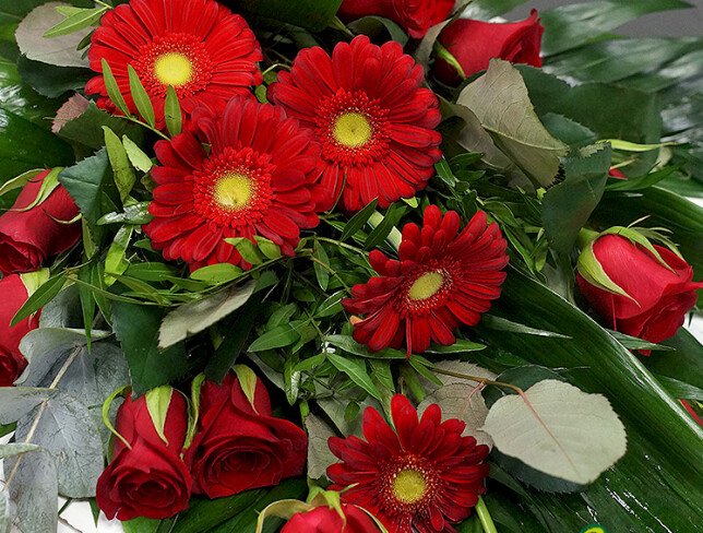 Funeral bouquet with red roses and gerberas photo