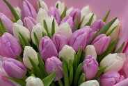 Bouquet of lavender and white tulips — photo 2