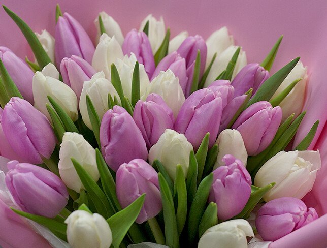 Bouquet of lavender and white tulips photo