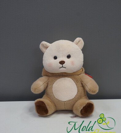 Capybara bear, h = 28 cm photo 394x433