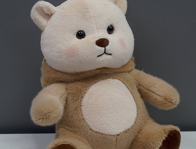 Capybara bear, h = 28 cm photo