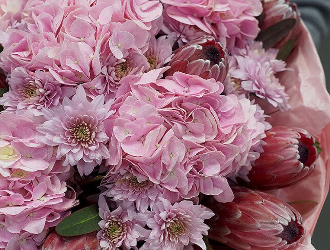 Buchet din hortensii roz, crizanteme si protea foto