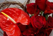 Bouquet with red roses and anthurium "Exotic Love" — photo 5