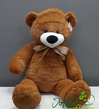 Ursulet Teddy h=90 cm (maro) foto 394x433