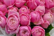 Bouquet of 7 Silva Pink peony-style roses, 50 cm — photo 2