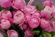 Bouquet of peony roses Silva Pink 50 cm “Sweet Compliment” — photo 2