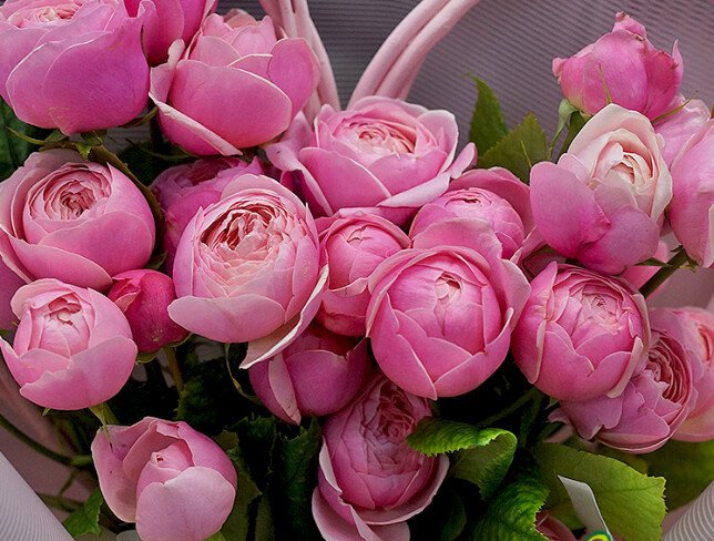 Bouquet of peony roses Silva Pink 50 cm “Sweet Compliment” photo