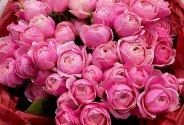 Buchet din trandafiri de tip bujori Silva Pink „Sarut Roz” — foto 2
