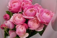 Buchet compliment din trandafiri de tip bujor Silva Pink — foto 2