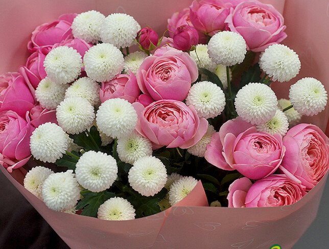 Bouquet with peony-type roses Silva Pink and white chrysanthemums photo