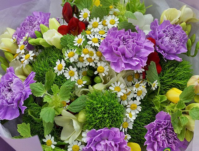 Bouquet of carnations, freesias and chamomile “Field Accent” photo