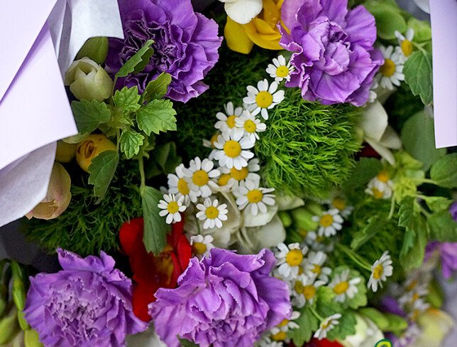 Bouquet of carnations, freesias and chamomile “Field Accent” photo