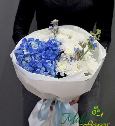 Buchet cu hortensie albastra, crizanteme albe si oxypetalum foto 394x433