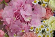 Buchet din hortensii, trandafiri de tufa, romanite si irisi „Minunea roz-albastra” — foto 2