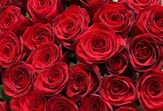 Bouquet of 35 red roses (80 cm) — photo 2