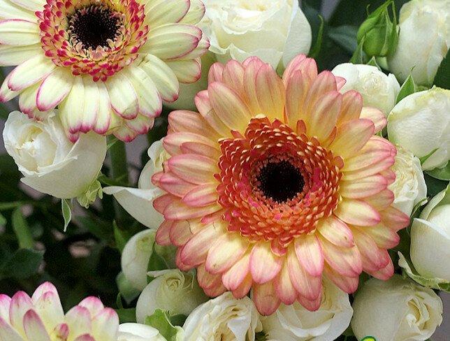 Buchet din trandafiri de tufa si gerbera "Lumina si bucurie" foto