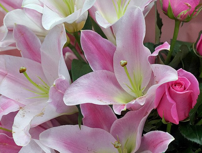 Bouquet with pink roses and lilies photo