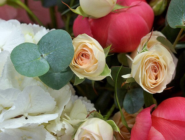 Bouquet of hydrangea, spray roses and Dutch peonies «Coral Charm» photo