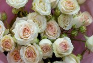 Bouquet of 5 spray roses “Sofia” 60 cm — photo 2