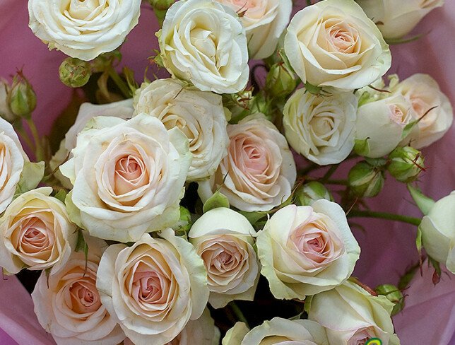 Bouquet of 5 spray roses “Sofia” 60 cm — photo 2