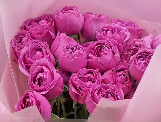 Bouquet of 9 pink spray peony roses “Misty Bubbles” photo