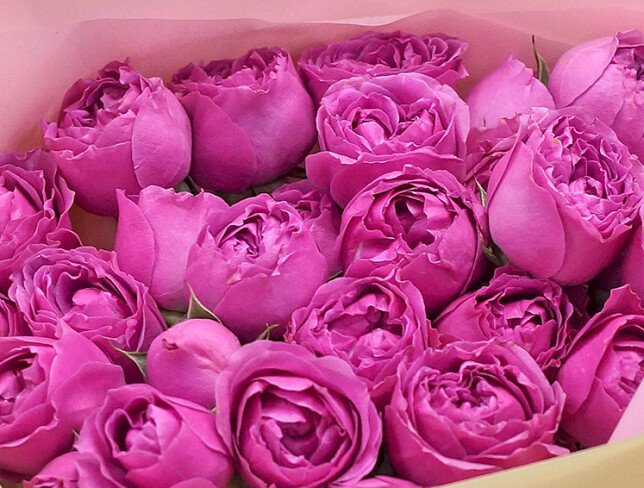 Buchet din 11 trandafiri roz de tip bujor spray „Misty Bubbles” foto