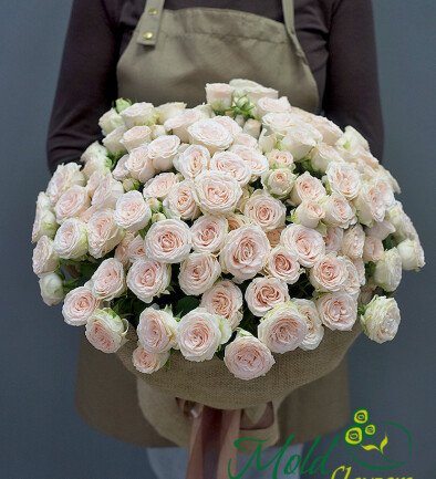 Bouquet of 25 cream roses “Sofia”, 50 cm photo 394x433