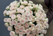 Bouquet of 25 cream roses “Sofia”, 50 cm — photo 3