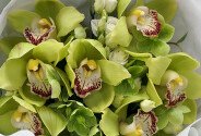 Букет из зелёных орхидей и белых эустом — фото 2