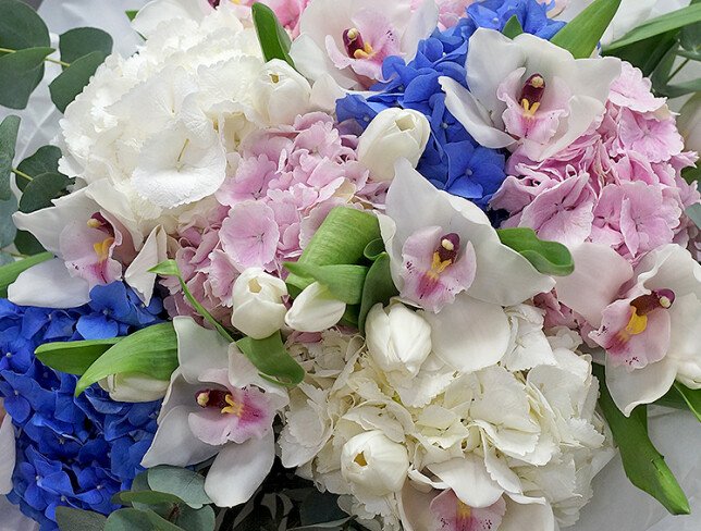 Bouquet of hydrangeas, tulips and orchids “White Harmony” photo