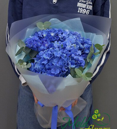 Buchet din 3 hortensii albastre foto 394x433