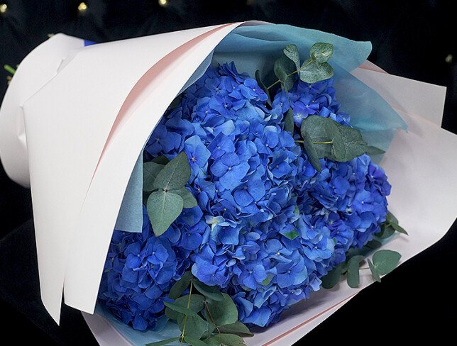 Buchet din 5 hortensii albastre cu eucalipt foto