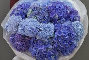 Bouquet of 15 purple and blue hydrangeas — photo 1