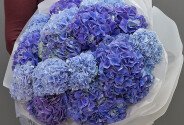 Bouquet of 15 purple and blue hydrangeas — photo 3