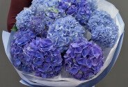 Bouquet of purple and blue hydrangeas — photo 1