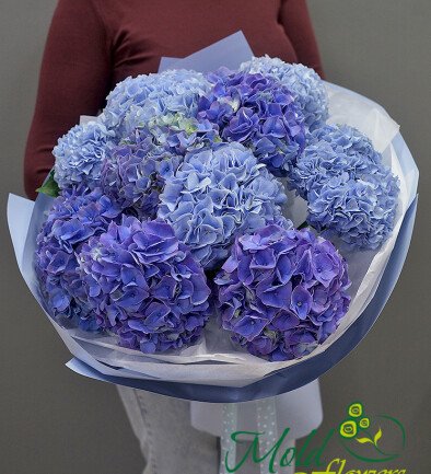 Bouquet of purple and blue hydrangeas photo 394x433