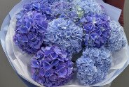 Bouquet of purple and blue hydrangeas — photo 3