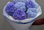 Bouquet of purple and blue hydrangeas — photo 5