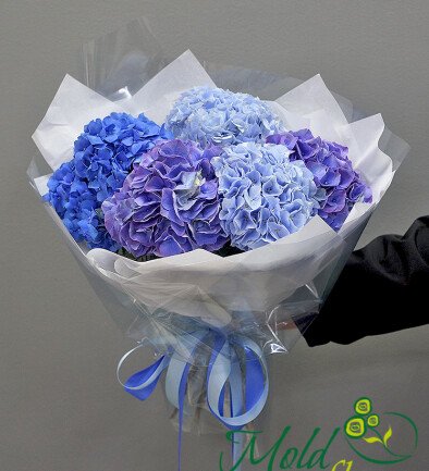 Bouquet of 5 hydrangeas “Atlantic of Flowers” photo 394x433