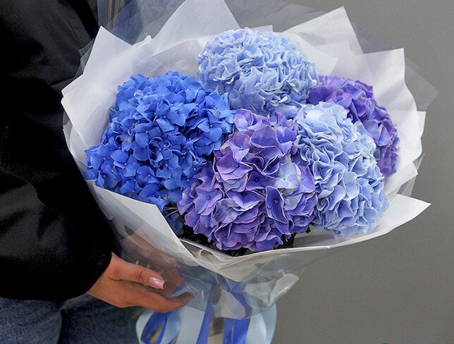 Bouquet of 5 hydrangeas “Atlantic of Flowers” photo