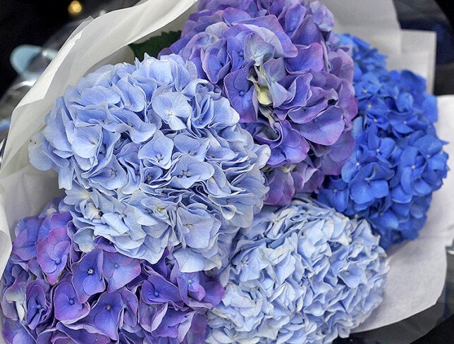 Bouquet of 5 hydrangeas “Atlantic of Flowers” photo