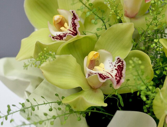 Box with green orchids photo
