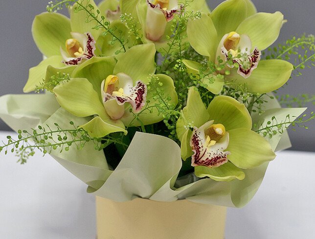 Box with green orchids photo