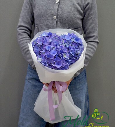 Buchet din 3 hortensii mov foto 394x433