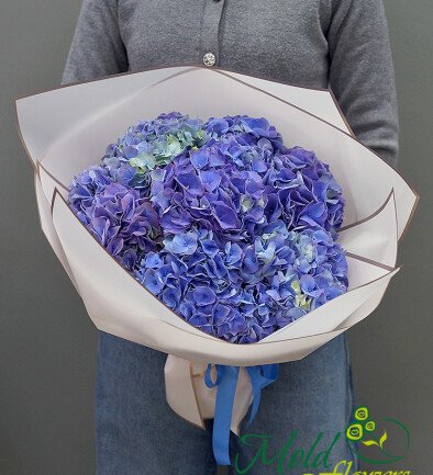 Bouquet of 7 purple hydrangeas photo 394x433