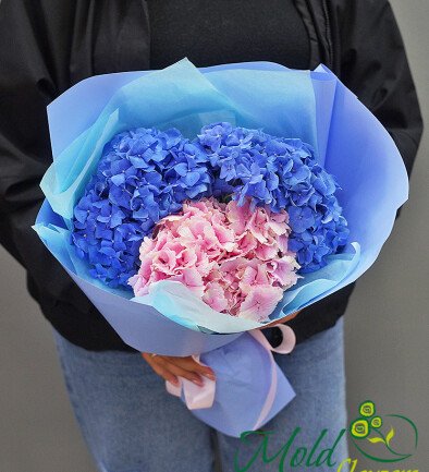 Bouquet of Three Hydrangeas in Soft Tones photo 394x433