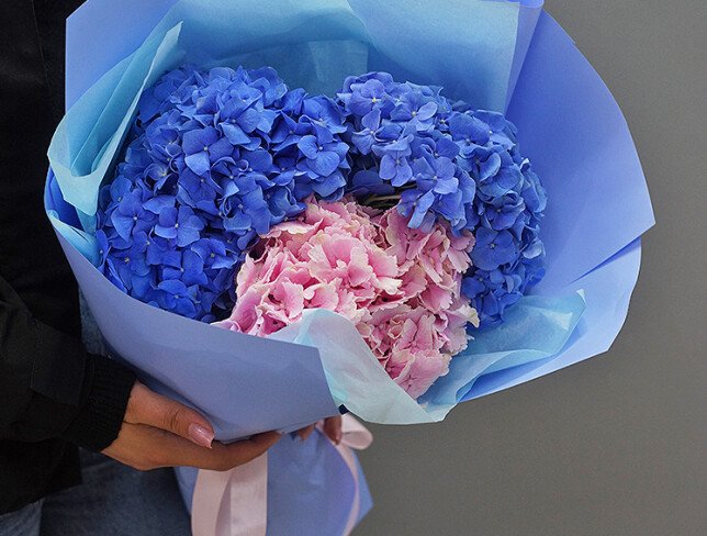 Bouquet of Three Hydrangeas in Soft Tones photo