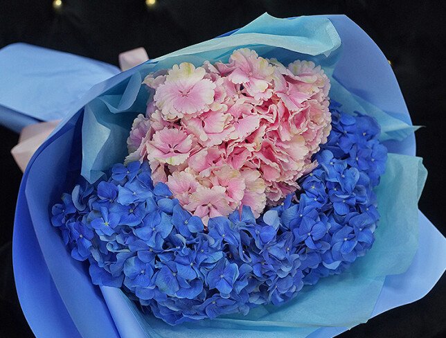 Bouquet of Three Hydrangeas in Soft Tones photo